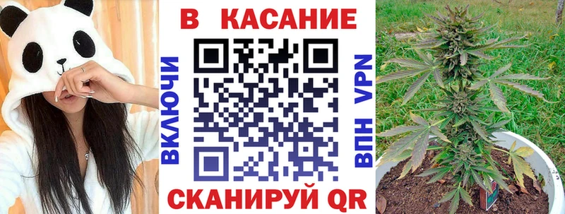 Магазины продажи наркотиков Ардатов Канабис мега маркетплейс МЕФ КОКАИН Альфа ПВП