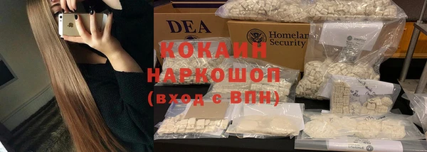 хмурый Алзамай