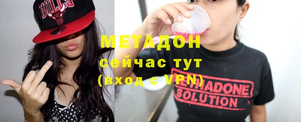 стаф Алексин